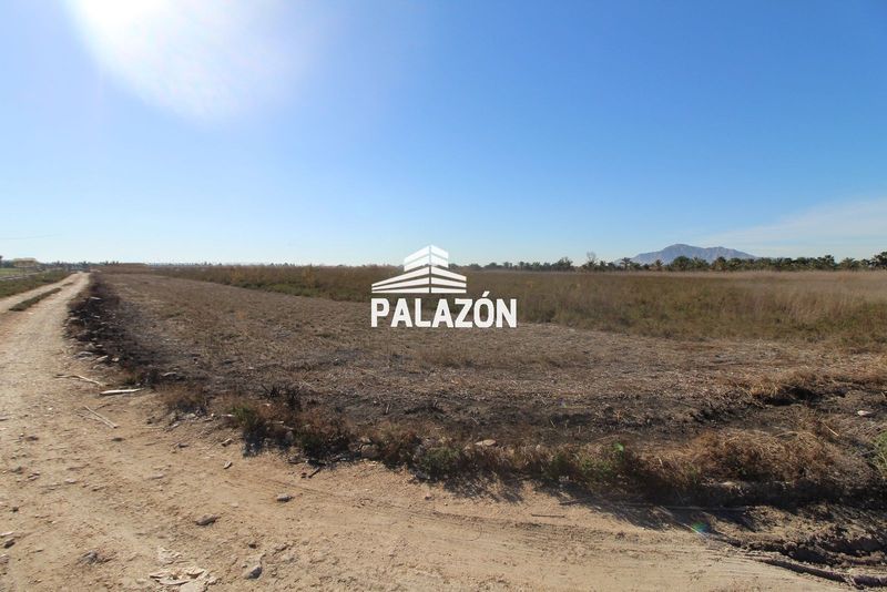 Finca de Cultivo en venta San Isidro, Alicante. Ref: 3988. Inmobiliaria Palazón