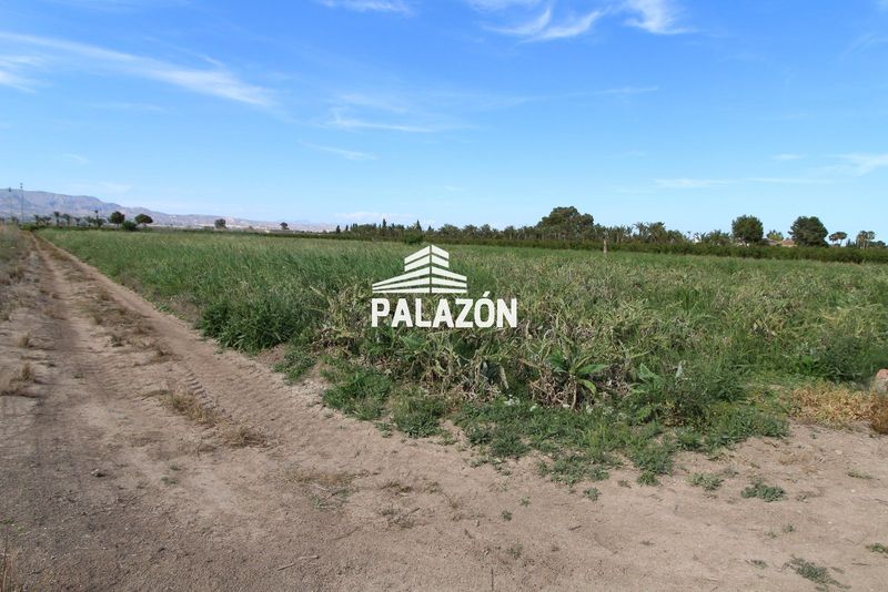 Finca Rústica en venta Catral, Alicante. Ref: 4044. Inmobiliaria Palazón