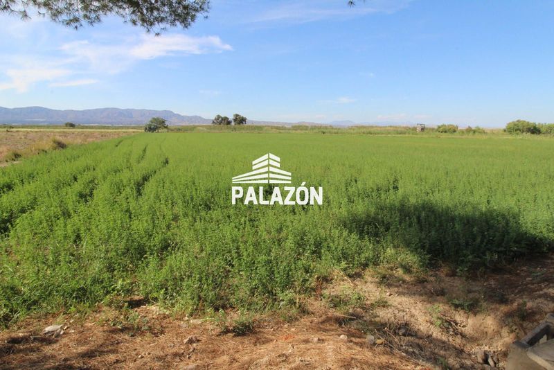 Finca de Cultivo en venta Catral, Alicante. Ref: 4070. Inmobiliaria Palazón