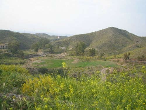 Finca Rústica en venta Albox, Almería. Ref: 491. Inmobiliaria Palazón