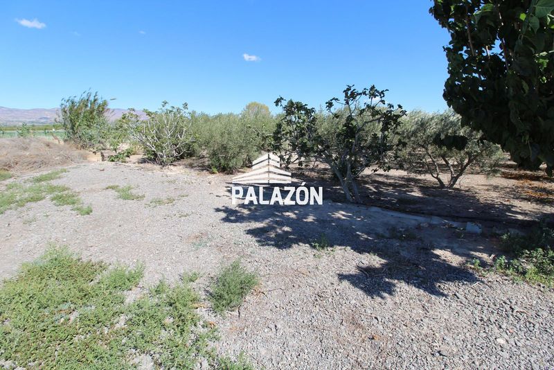 Finca de Cultivo en venta San Isidro, Alicante. Ref: 5010. Inmobiliaria Palazón