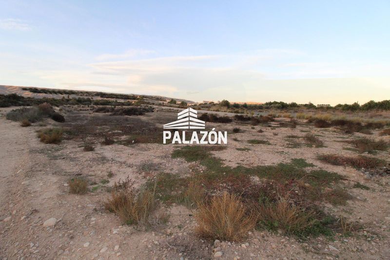 Finca de Cultivo en venta Crevillent, Alicante. Ref: 5075. Inmobiliaria Palazón