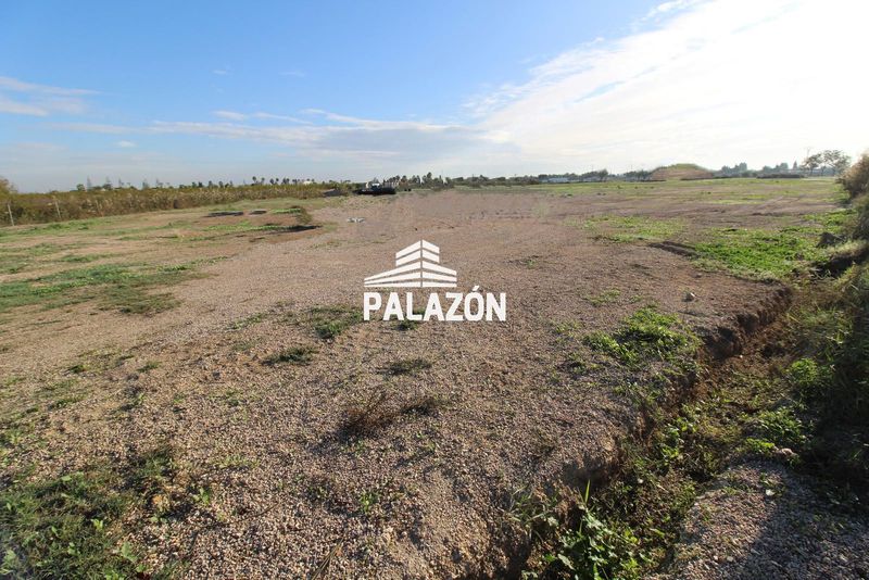 Finca Rústica en venta Catral, Alicante. Ref: 5076. Inmobiliaria Palazón