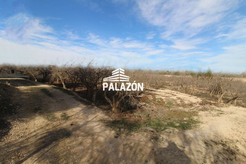 Finca Rústica en venta Albatera, Alicante. Ref: 5106. Inmobiliaria Palazón