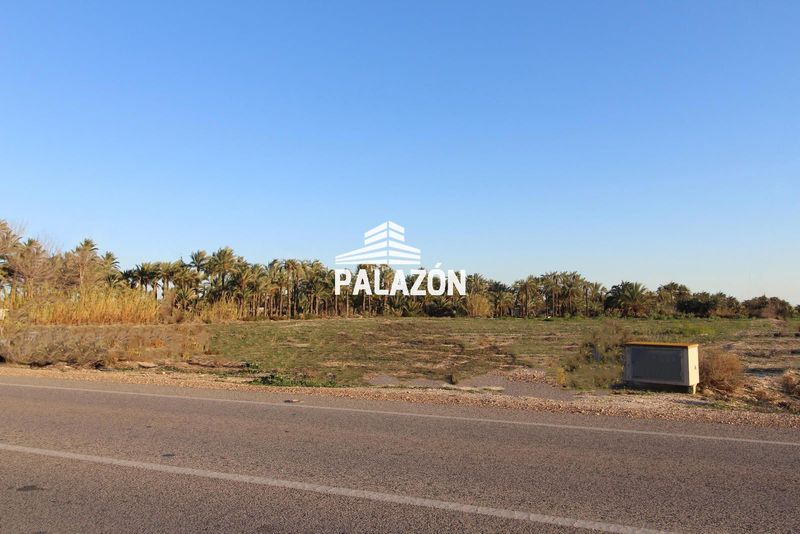 Finca de Cultivo en venta Crevillent, Alicante. Ref: 5203. Inmobiliaria Palazón