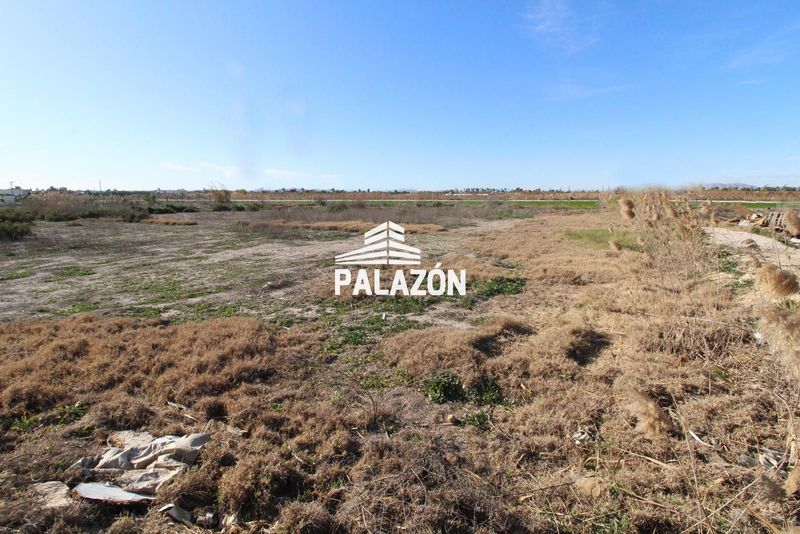 Finca Rústica en venta Catral, Alicante. Ref: 5289. Inmobiliaria Palazón