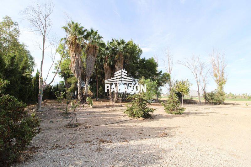 Finca Rústica en venta Catral, Alicante. Ref: 5343. Inmobiliaria Palazón