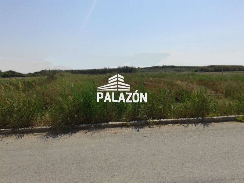 Finca Rústica en venta Crevillent, Alicante. Ref: 542. Inmobiliaria Palazón