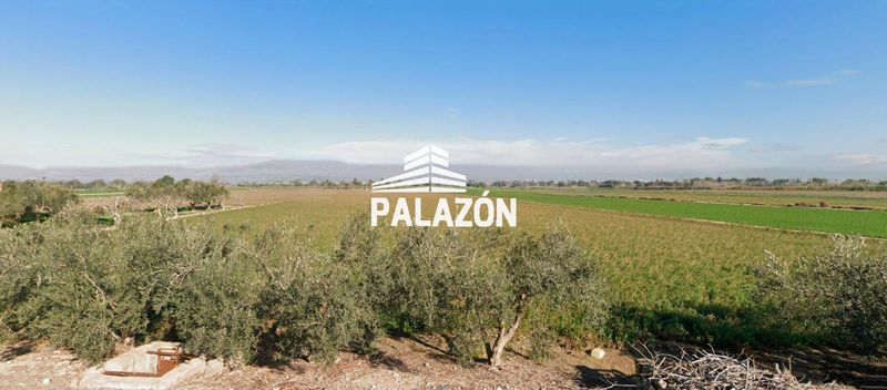 Finca Rústica en venta Catral, Alicante. Ref: 5438. Inmobiliaria Palazón