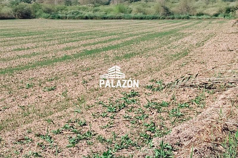 Finca Rústica en venta San Isidro, Alicante. Ref: 5452. Inmobiliaria Palazón