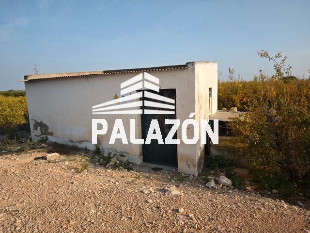 Finca de Cultivo en venta Albatera, Alicante. Ref: 5466. Inmobiliaria Palazón