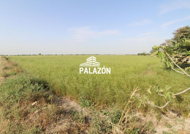 Finca Rústica en venta Catral, Alicante. Ref: 5579. Inmobiliaria Palazón