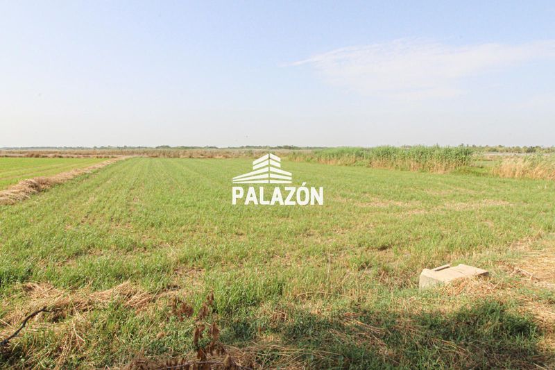 Finca Rústica en venta Catral, Alicante. Ref: 5583. Inmobiliaria Palazón