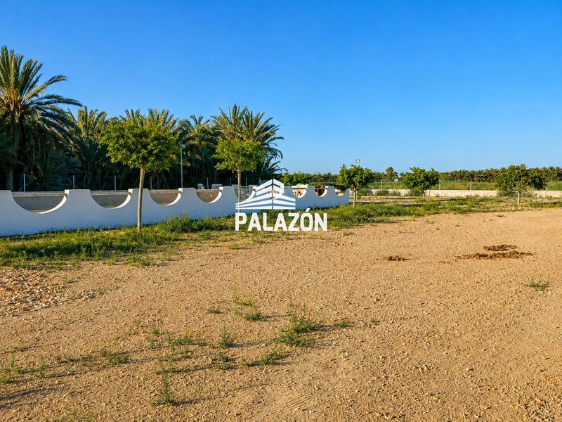 Finca Rústica en venta Catral, Alicante. Ref: 5827. Inmobiliaria Palazón