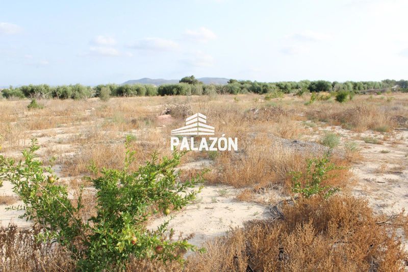 Finca Rústica en venta Albatera, Alicante. Ref: 6003. Inmobiliaria Palazón