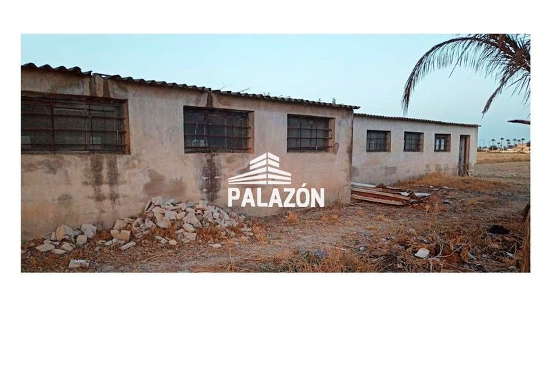 Nave Industrial en venta Catral, Alicante. Ref: 6007. Inmobiliaria Palazón