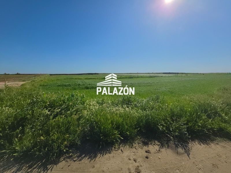 Finca de Cultiu en venda Catral, Alicante. Ref: 6070. Inmobiliaria Palazón