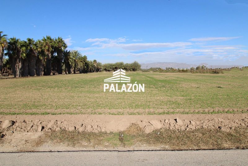 Finca Rústica en venta Catral, Alicante. Ref: 613. Inmobiliaria Palazón