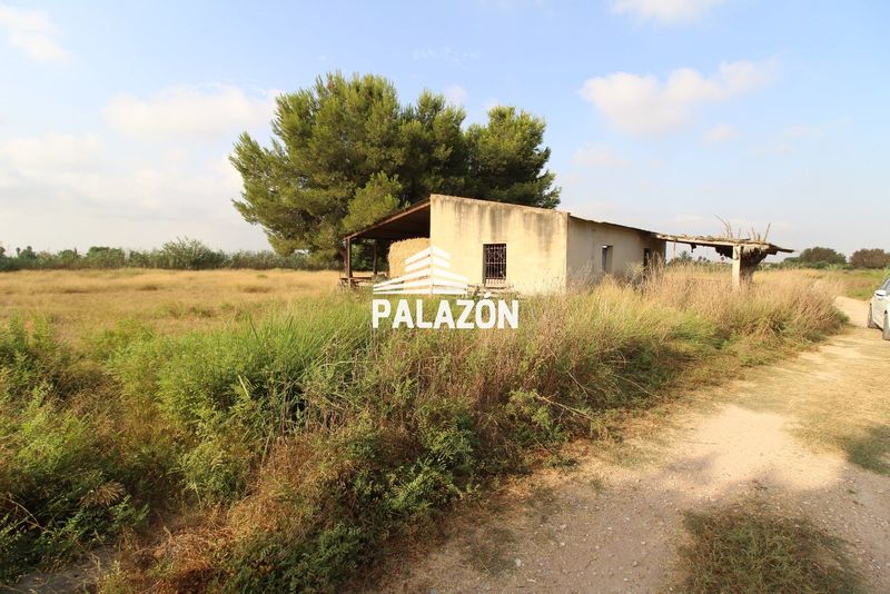 Finca Rústica en venta Catral, Alicante. Ref: 6271. Inmobiliaria Palazón