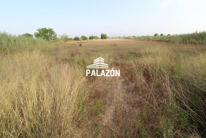 Finca Rústica en venta Catral, Alicante. Ref: 6272. Inmobiliaria Palazón