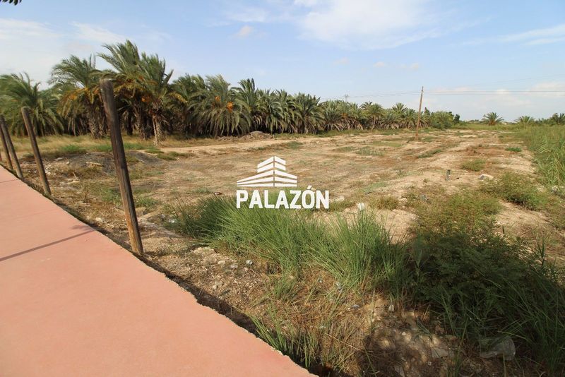 Finca Rústica en venta Catral, Alicante. Ref: 6298. Inmobiliaria Palazón