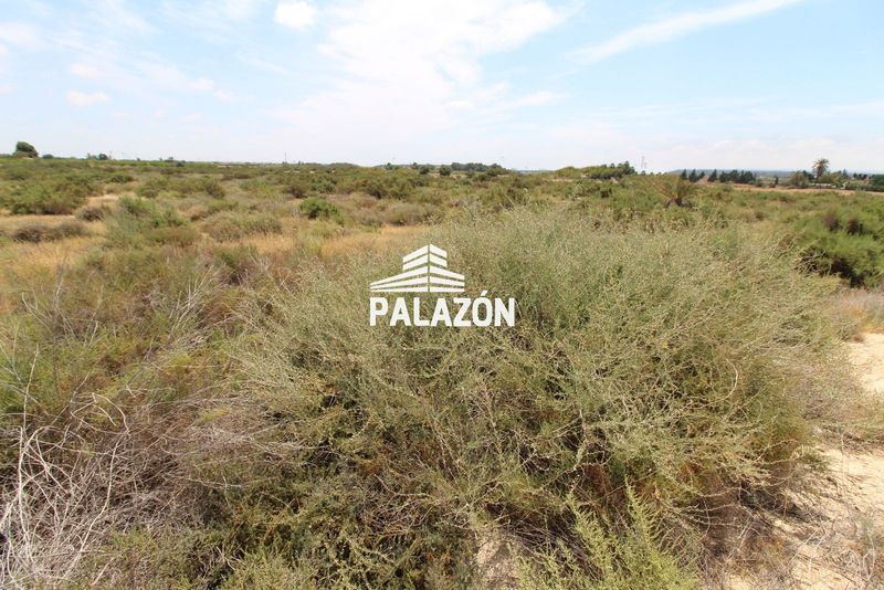 Finca de Cultivo en venta Crevillent, Alicante. Ref: 631. Inmobiliaria Palazón