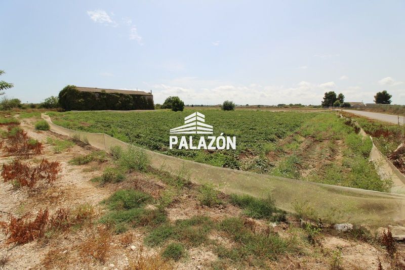 Finca Rústica en venta Catral, Alicante. Ref: 6342. Inmobiliaria Palazón