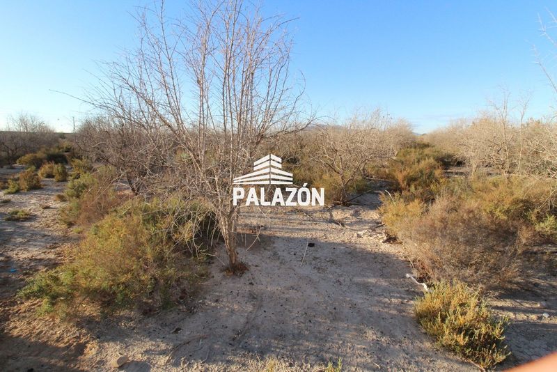 Finca de Cultivo en venta Crevillent, Alicante. Ref: 6380. Inmobiliaria Palazón