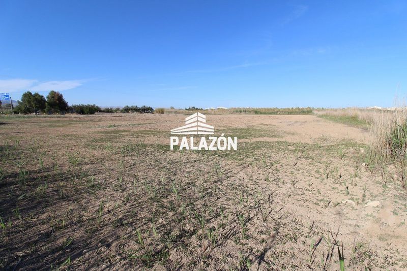 Finca Rústica en venta Catral, Alicante. Ref: 6417. Inmobiliaria Palazón