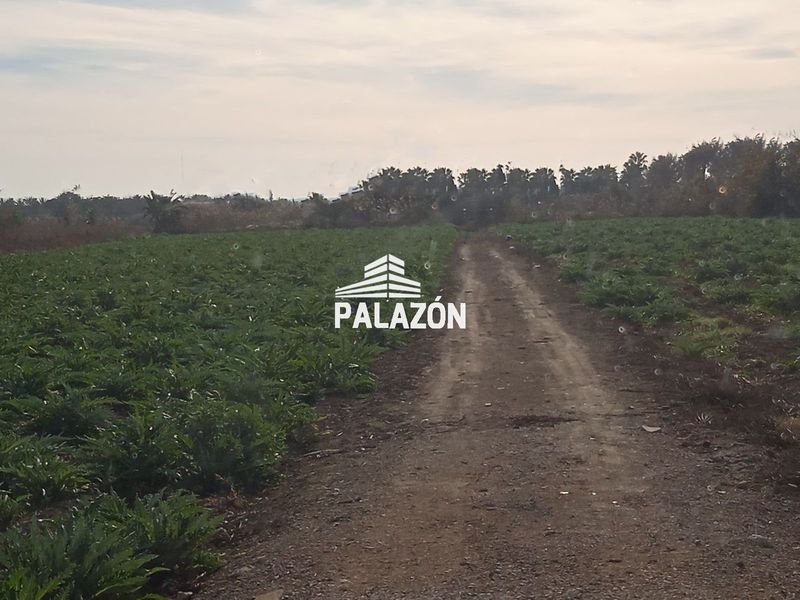 Nave Industrial en venta Dolores, Alicante. Ref: 6435. Inmobiliaria Palazón