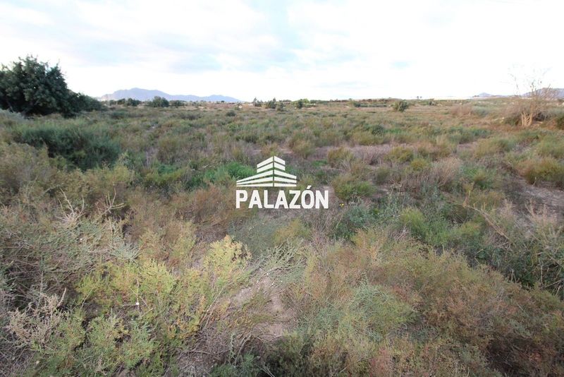 Finca de Cultivo en venta Crevillent, Alicante. Ref: 6443. Inmobiliaria Palazón