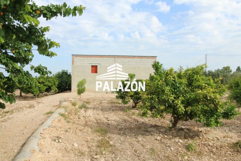 Finca de Cultivo en venta Crevillent, Alicante. Ref: 686. Inmobiliaria Palazón