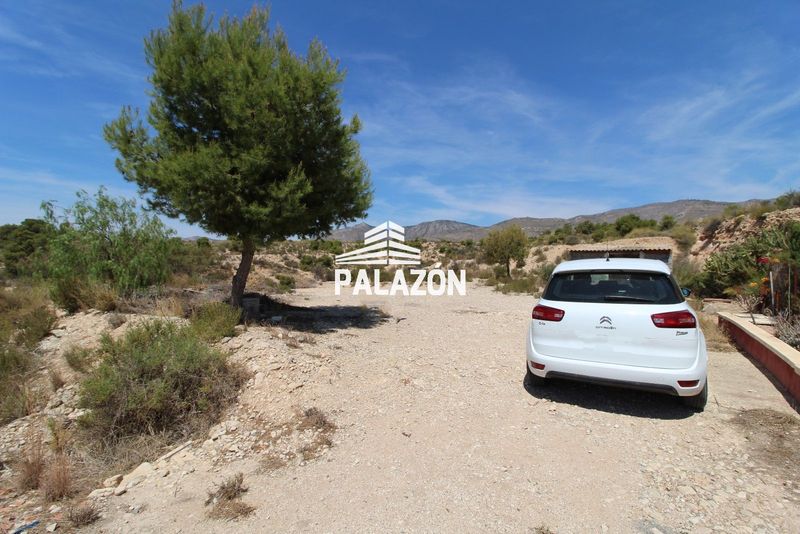 Finca Rústica en venta Crevillent, Alicante. Ref: 6985. Inmobiliaria Palazón