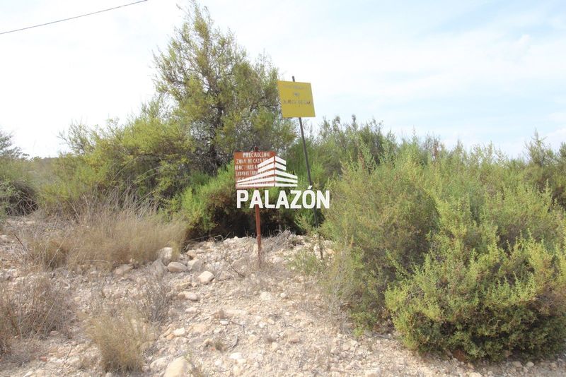 Finca Rústica en venta Crevillent, Alicante. Ref: 6990. Inmobiliaria Palazón