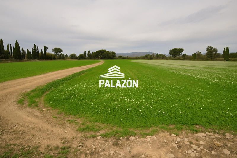 Finca Rústica en venta Catral, Alicante. Ref: 762. Inmobiliaria Palazón