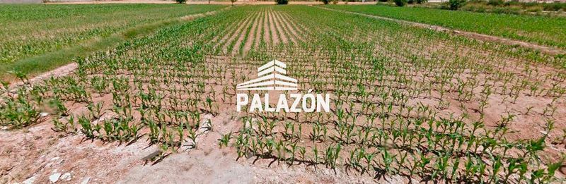 Finca Rústica en venta Callosa De Segura, Alicante. Ref: 8052. Inmobiliaria Palazón