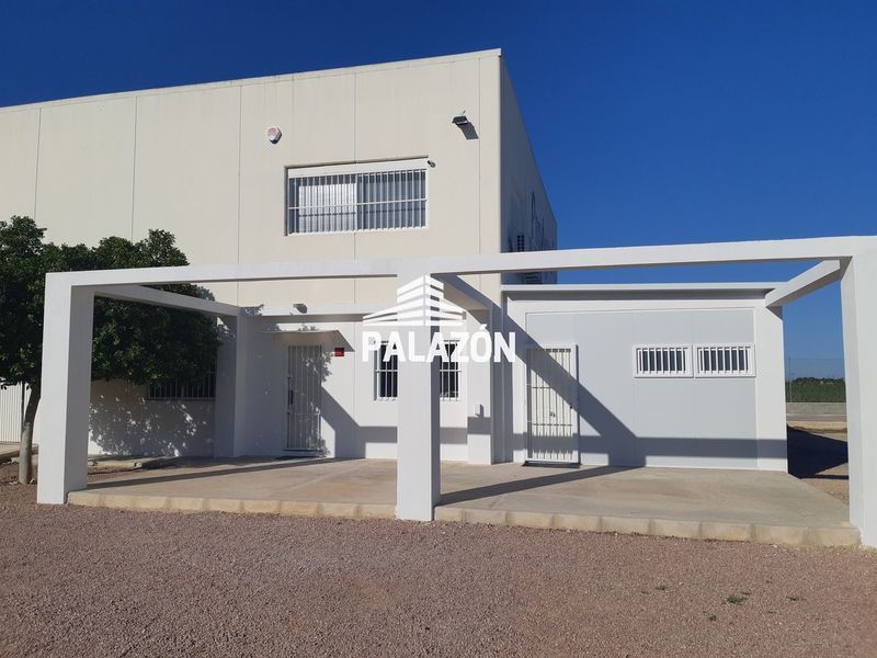 Nave Industrial en venta Crevillent, Alicante. Ref: 8053. Inmobiliaria Palazón