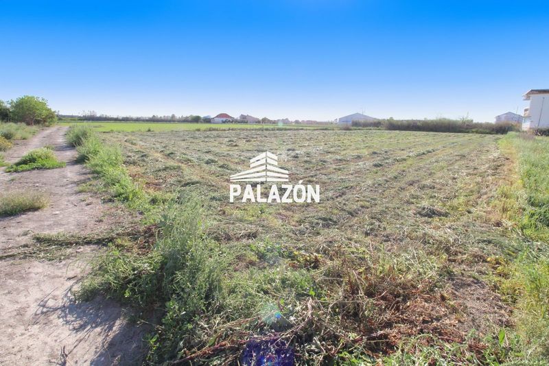 Solar en venta Dolores, Alicante. Ref: 8060. Inmobiliaria Palazón