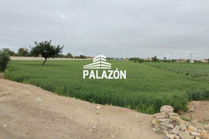 Finca Rústica en venta Catral, Alicante. Ref: 861. Inmobiliaria Palazón