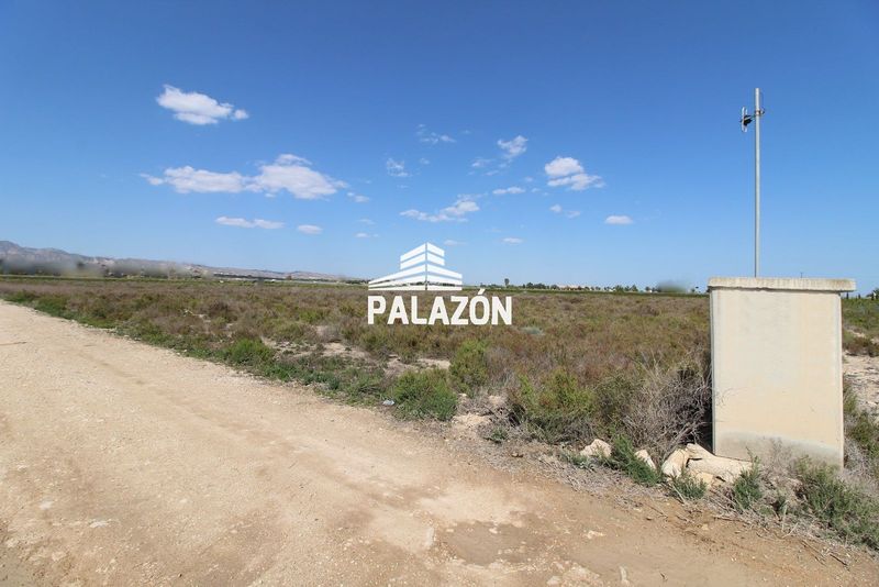 Finca de Cultivo en venta Crevillent, Alicante. Ref: 980. Inmobiliaria Palazón