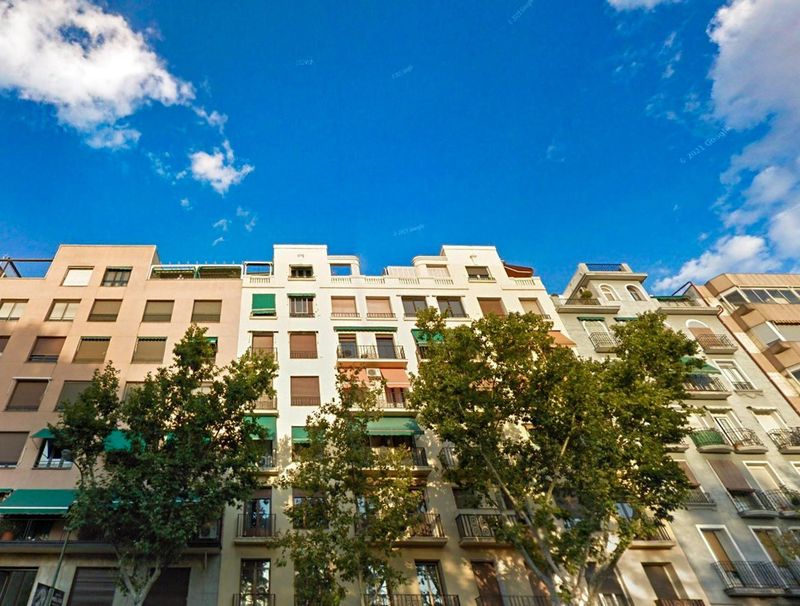 Piso en alquiler Madrid. Ref: 1156. PANDACASA 