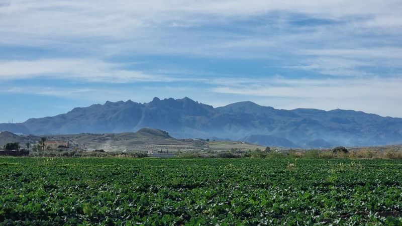 Parcela en venta Garrucha, Almería. Ref: 1039. PACO PARRA INMOBILIARIA