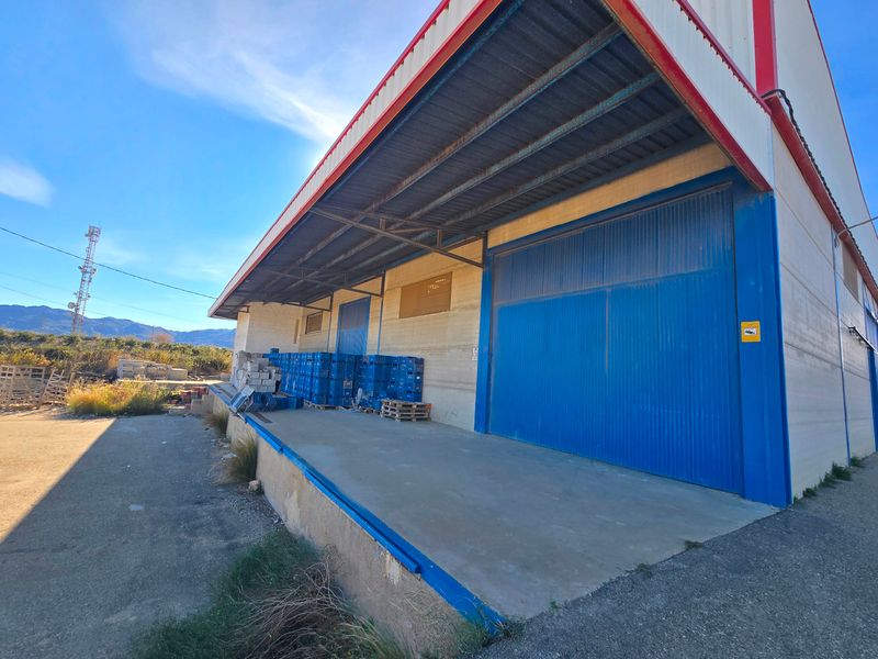 Nave Industrial en alquiler Los Gallardos, Almería. Ref: 3272. PACO PARRA INMOBILIARIA
