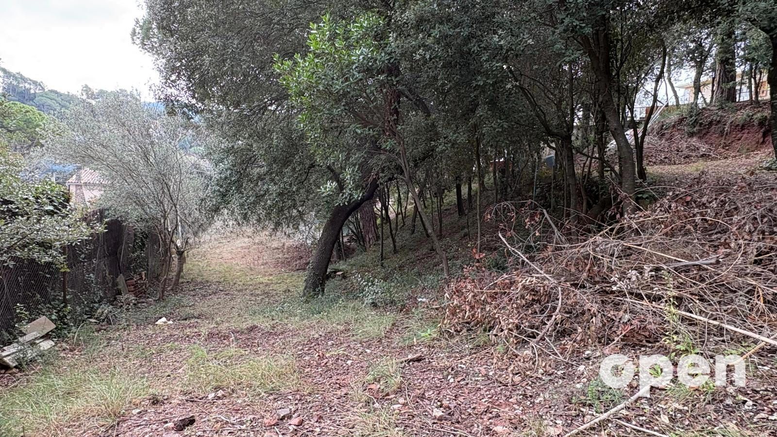 CAMÍ DE LES FONTS TORREBLANCA - VACARISSES - Foto 18