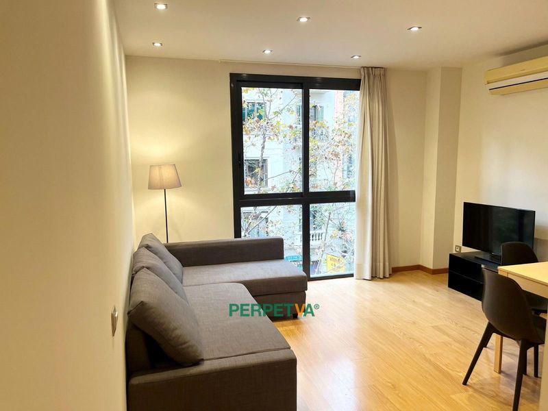 Piso en alquiler Barcelona. Ref: 1179. PERPETVA