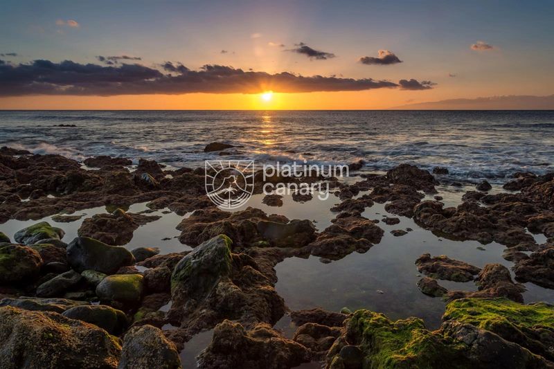 Grundstück zu verkaufen Palm-Mar, Santa Cruz Tenerife. Ref: 1457. Platinum Canary