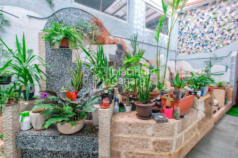 Geschäftsraum zu verkaufen Costa Del Silencio, Santa Cruz Tenerife. Ref: 2212. Platinum Canary