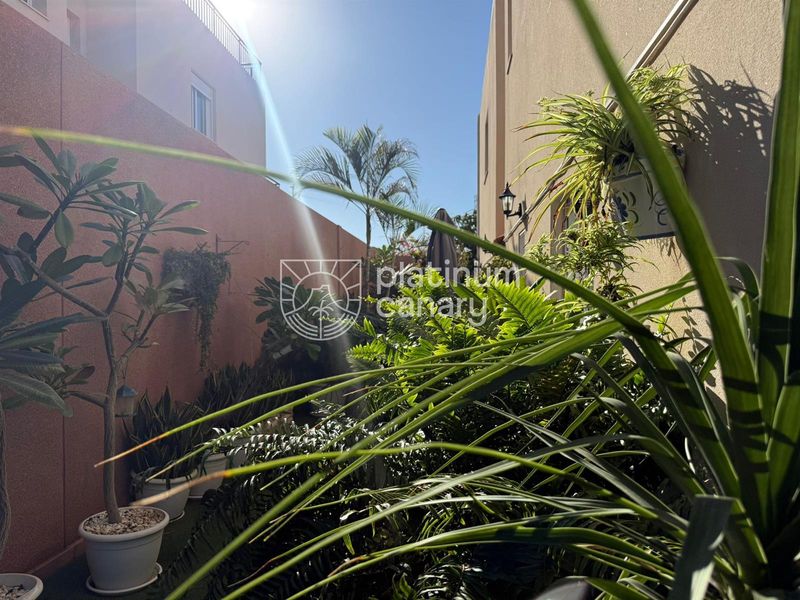 Heim zu verkaufen Costa Adeje, Santa Cruz Tenerife. Ref: 2542. Platinum Canary