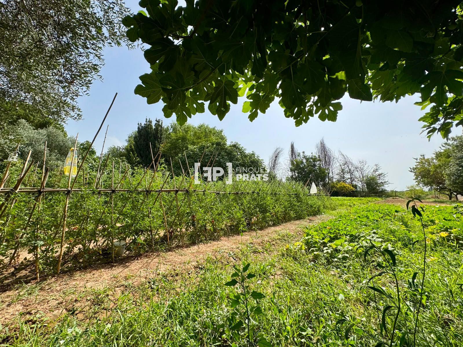 TORRE EN VENTA EN PUIGVERD DE LLEIDA - Foto 4