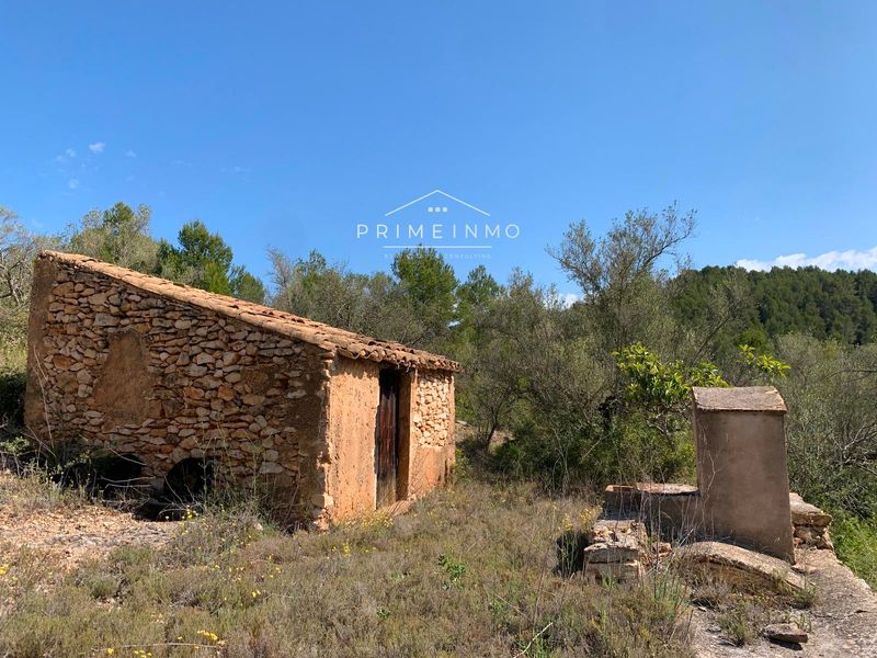 Finca rústica en venta El Perelló, Tarragona. Ref: 1102. PRIME INMO